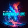 Labyrinths of Love - Single