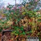 Heartless - Therealist3 lyrics