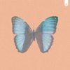 Wings - Single