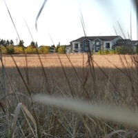 I Made a Wish 7 Years Ago, But It Never Came True - Single - oktober!