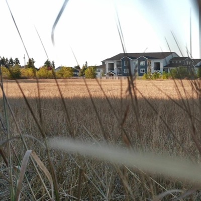 I Made a Wish 7 Years Ago, But It Never Came True - Single