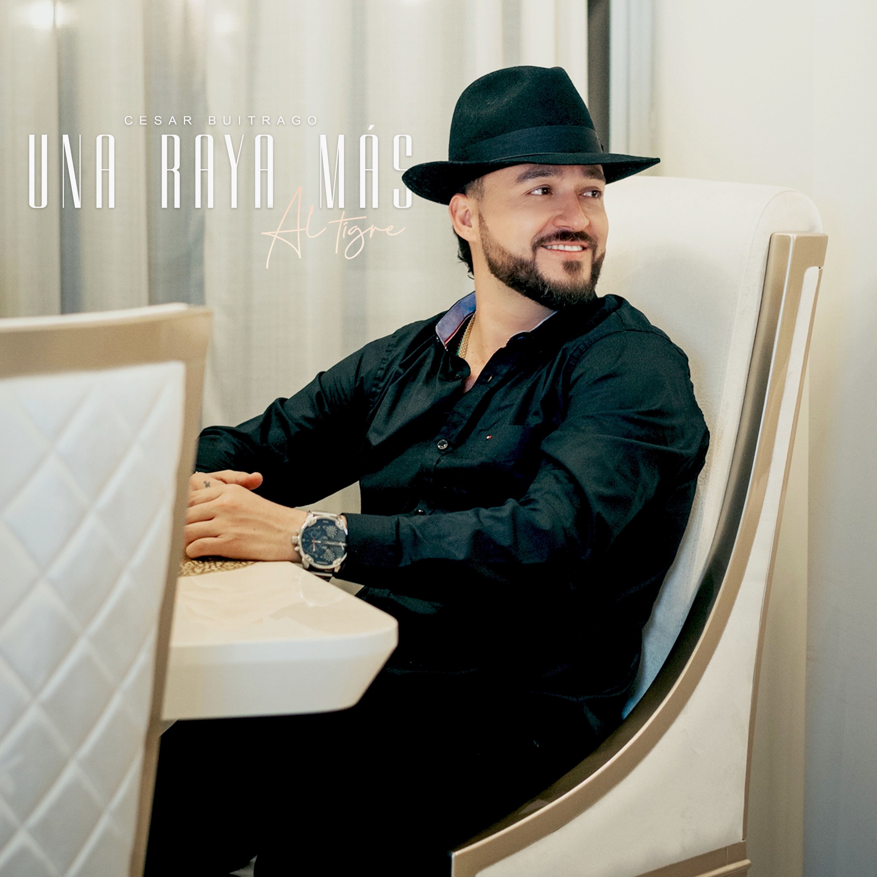 Una Raya Mas al Tigre - Single