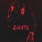 Zante - Arni lyrics
