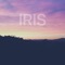 Iris - Kina Grannis lyrics