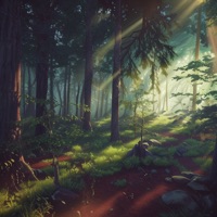 Forest Walks - Single - FAIR GAME