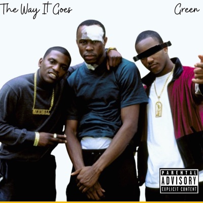 The Way It Goes - Single