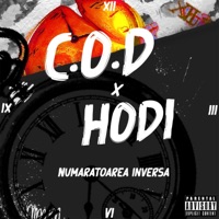Intrebarea Rosie (feat. C.o.D) - Single - HODI