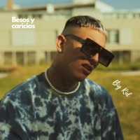 Besos y Caricias - Single - Big Kid