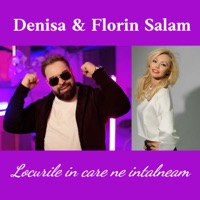 Locurile in care ne intalneam (feat. Florin Salam) - Single - Den-Isa