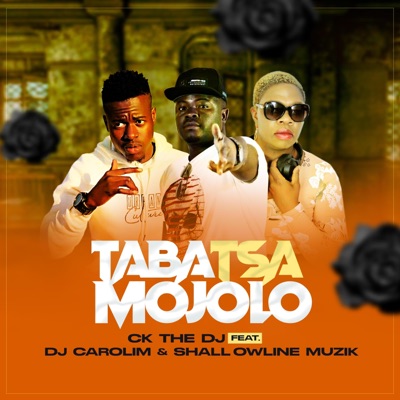 Taba Tsa Mojolo (feat. Ck the Dj) [Radio Edit] - Single