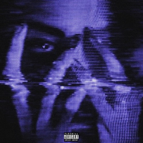 Notice Me - Single