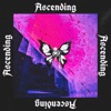 Ascending - Single