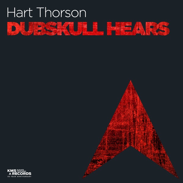 Dubskull Hears - Single