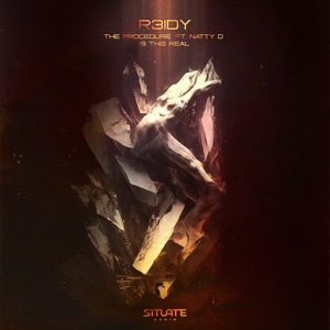 The Procedure / Is This Real (feat. Natty D) - Single