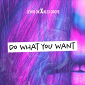 Do What You Want (Radio Edit) artwork
