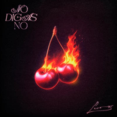 No digas no - Single