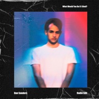 What Would You Do If I Died? (Radio Edit) - Single - Dan Sanders