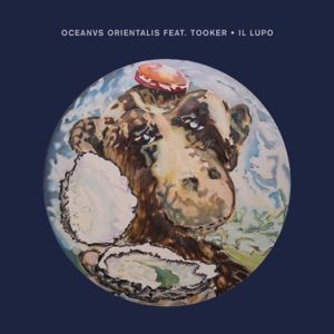 Il Lupo (feat. Tooker) - Single