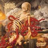 Shame and its Afterbirth artwork