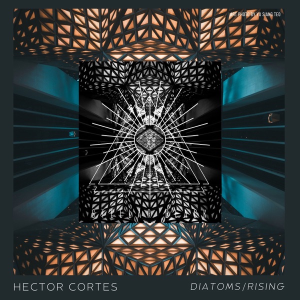 Diatoms/Rising - Single
