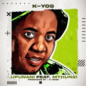 Ufunani (feat. Mthunzi) artwork
