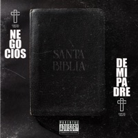 Negocios De Mi Padre - Single - Cartel Divino