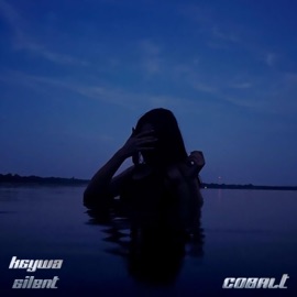 Cobalt K$YWA & $1LENT