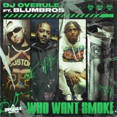 Who Want Smoke (feat. BlumBros) artwork