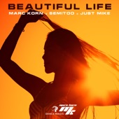 Beautiful Life artwork