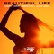 Beautiful Life (Extended Mix) artwork
