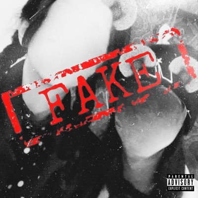 Fake - Single