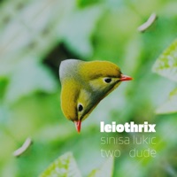 Leiothrix - Single - Sinisa Lukic & Two Dude