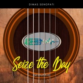 Seize the Day (Acoustic) artwork