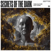 Secrets of the Dark (feat. GURLI) artwork