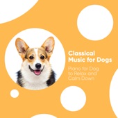 Classical Music for Dogs: Piano for Dog to Relax and Calm Down artwork