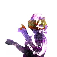 Web Browser - Single - Fox Beach