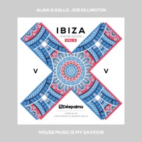 House Music Is My Saviour (Extended Mix) - Single - Alaia & Gallo & Joe Killington