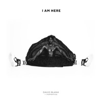 I Am Here - Single - David Blank & ilromantico
