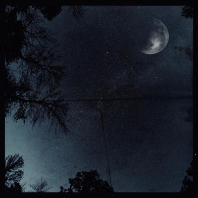 What It Seems - Single