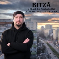 Locul de unde vin (feat. Phunk B & FreakaDaDisk) - Single - Bitza
