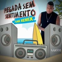 Pegada Sem Sentimento (Remix) - Single - Deejay Lucca & Lucas Simões Oficial