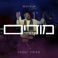 Modim (feat. Listig Band) - Single - YOSSI FRIED