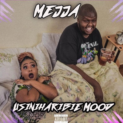 Usiniharibie Mood - Single