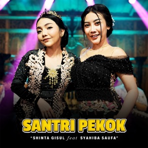 Shinta Gisul - Santri Pekok (feat. Syahiba Saufa) (Live Version) - Line Dance Music