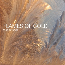 Flames of Gold Wzardtech