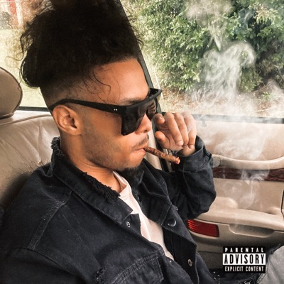 Goiin Stoopid (feat. Lostboivonte) - Single