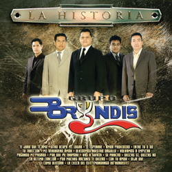La Historia: Grupo Bryndis - Grupo Bryndis Cover Art