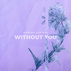 Without You