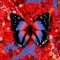 2step (feat. Potter Payper) - Ed Sheeran lyrics