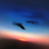 Resavoir - First Light